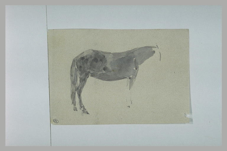 Esquisse d'un cheval gris, tourné vers le droite