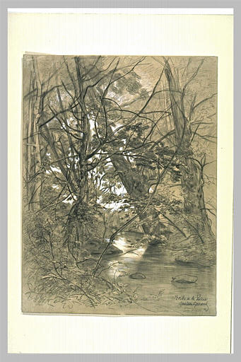 Ruisseau entre des arbres et du feuillage
