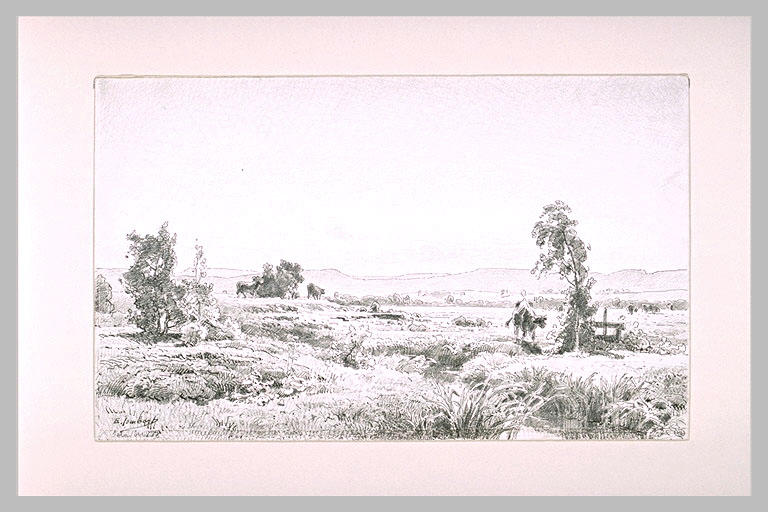 Perspective de prairies avec des collines à l'horizon