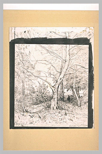 Homme au milieu d'arbres et de taillis