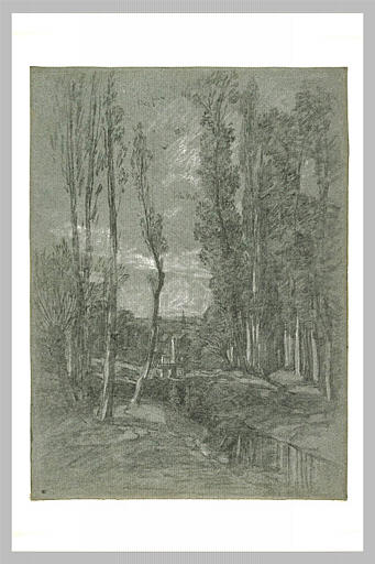 Ruisseau régulé par une vanne et coulant entre des peupliers