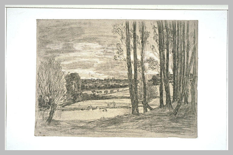 Peupliers sur une colline dominant un bocage