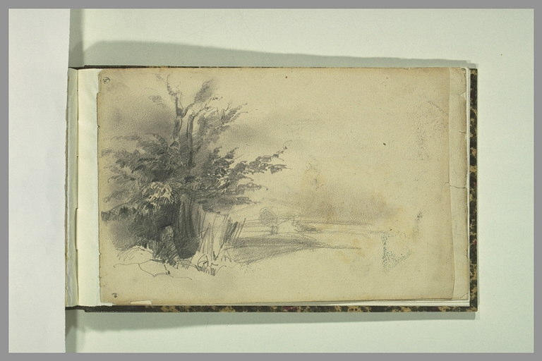Paysage