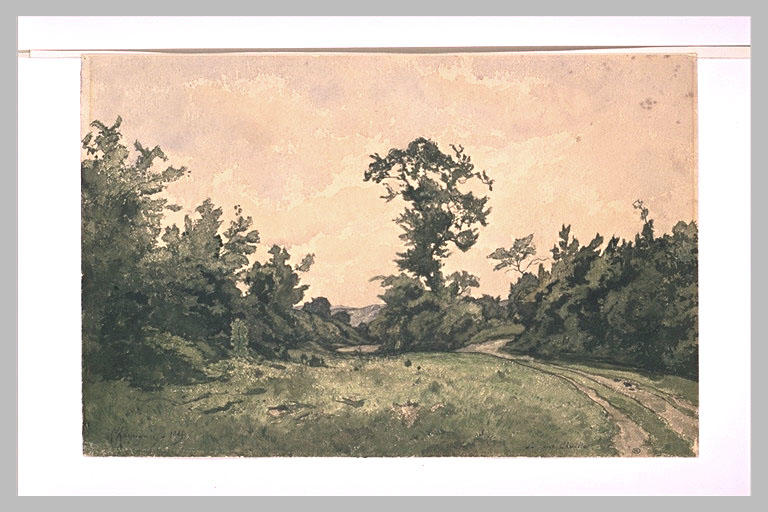 Prairie entourée d'arbres et longée par un chemin