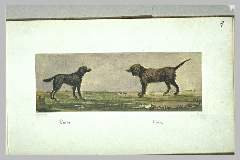 Deux chiens, face à face, dans la campagne