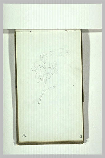 Croquis d'une branche fleurie ; esquisse d'une petite figure