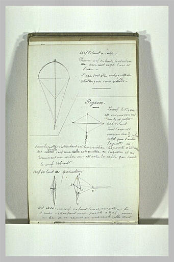 Etudes d'un cerf-volant