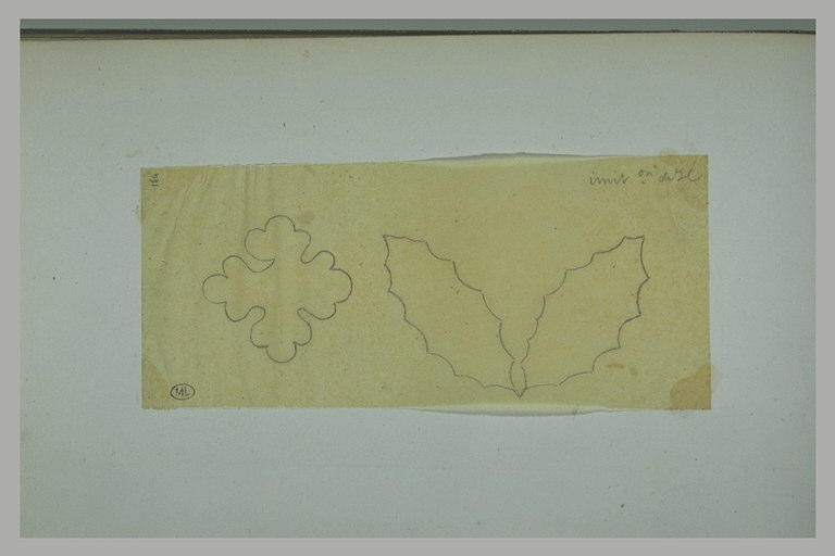 Etude d'un motif quadrilobé et d'un motif de feuilles dentelées