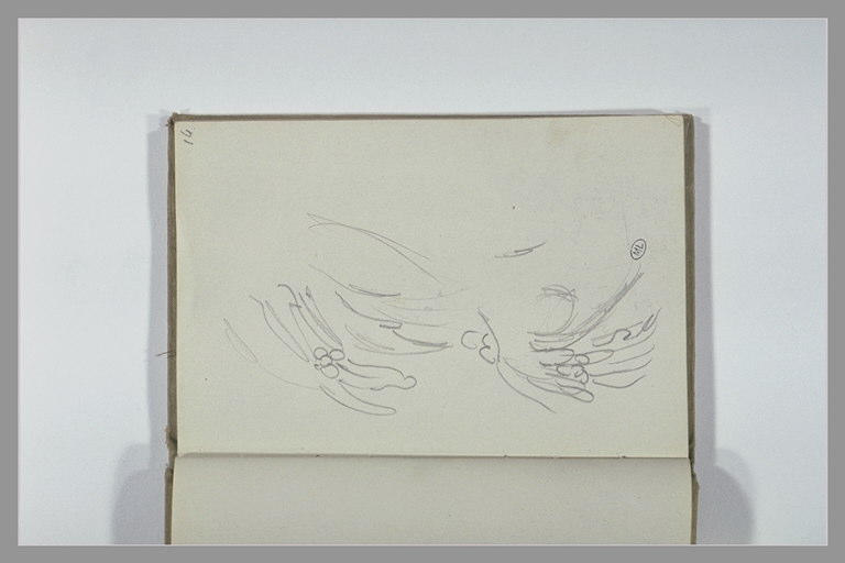 Etudes de plumes (?)