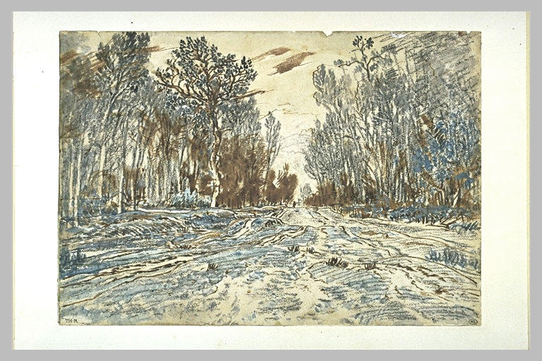 Chemin enneigé traversant un bois, dans la forêt de Fontainebleau