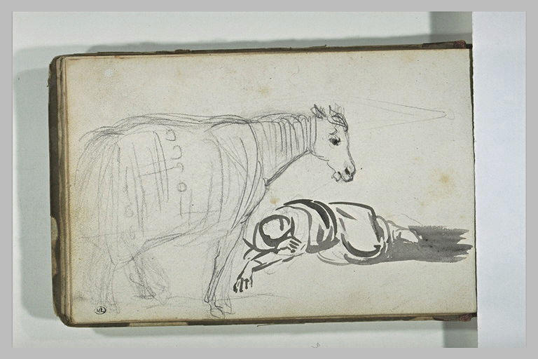 Homme étendu à terre près d'un cheval