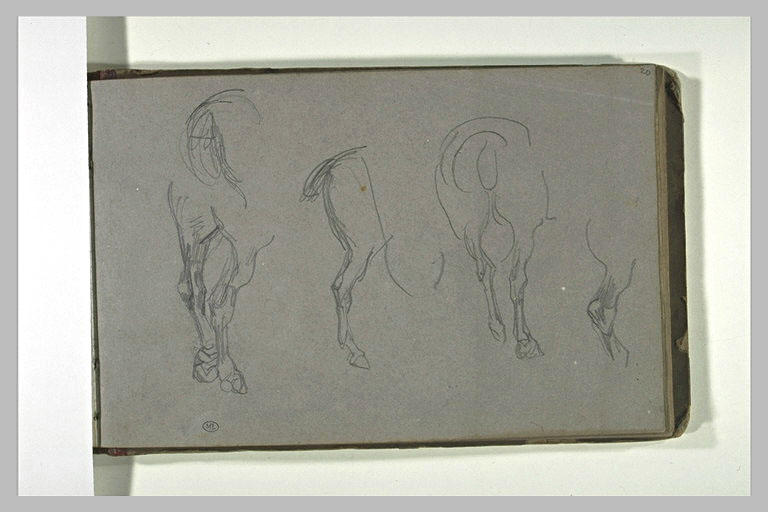 Quatre études d'arrière-train de chevaux