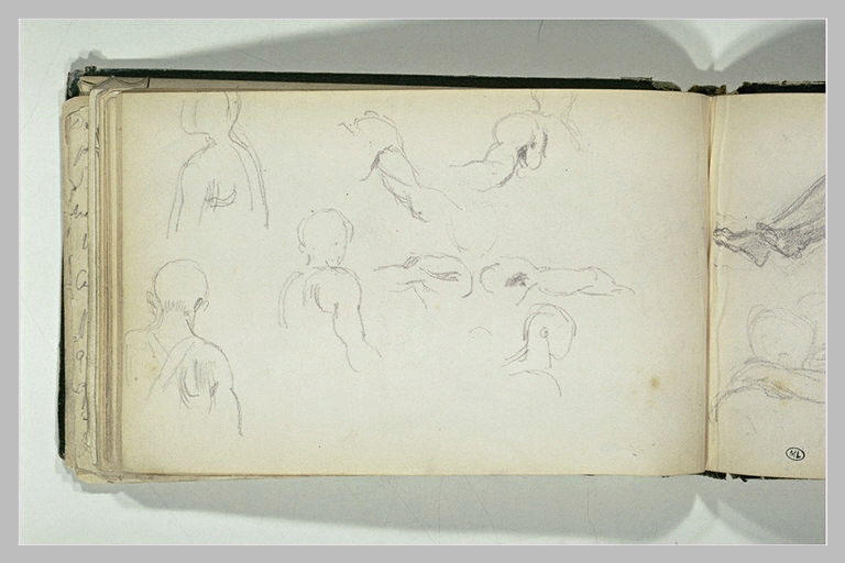 Croquis de musculatures