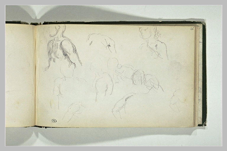 Etudes de torses d'hommes