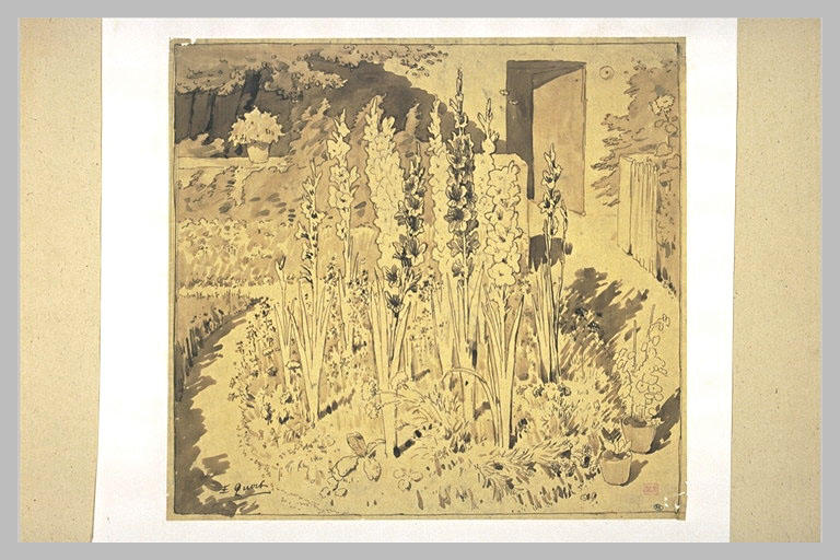 Vue d'un jardin, avec au premier plan un massif de glaïeuls