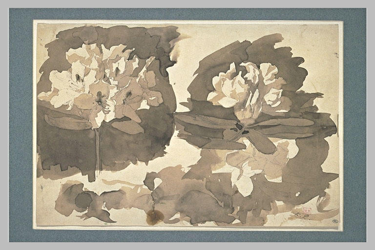 Deux fleurs de rhododendron avec feuilles