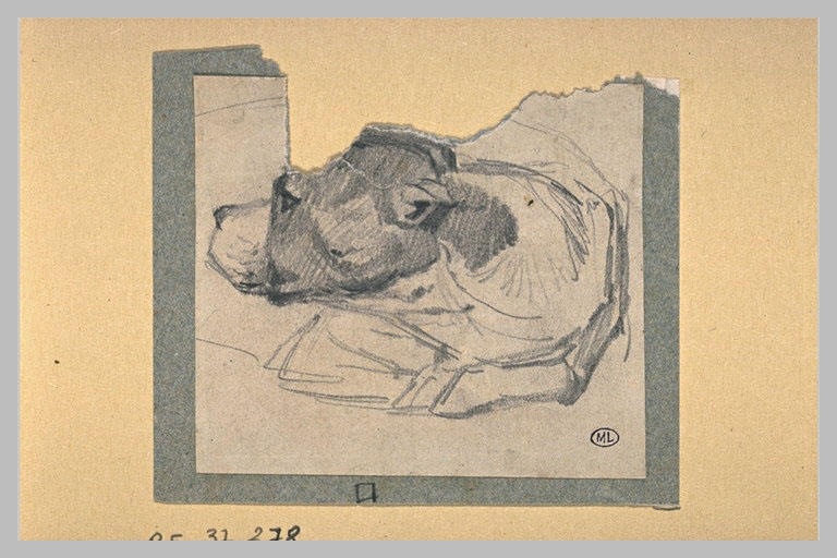 Chien couché