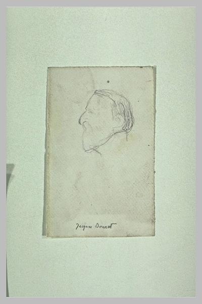 Tête d'homme barbu, de profil à gauche: Jacques Doucet