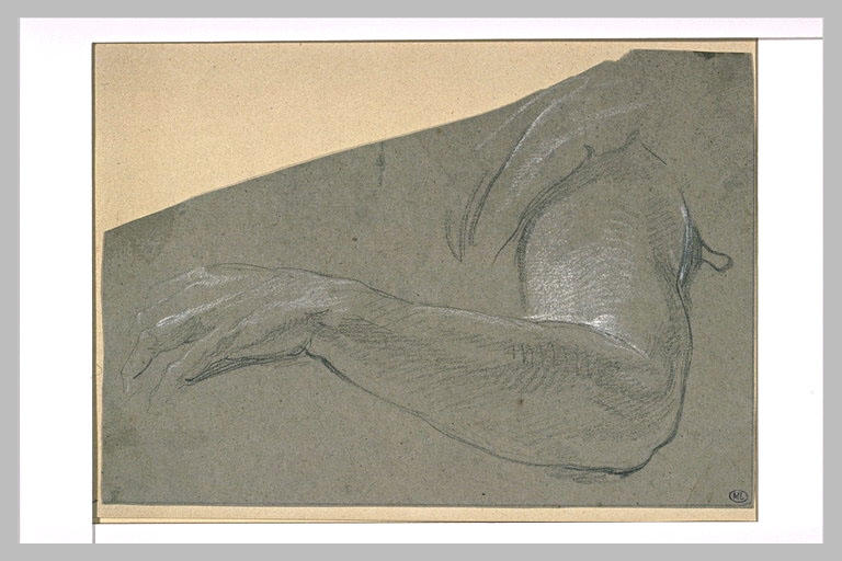 Etude de bras gauche