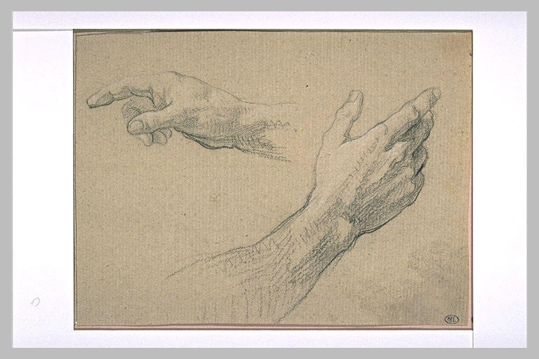 Deux études de mains : main droite et main gauche