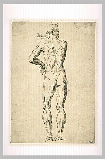 Homme nu, de dos, la tête tournée vers la droite