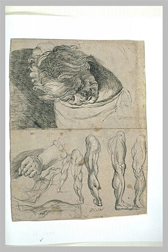 Etudes de tête, de jambes et de bras