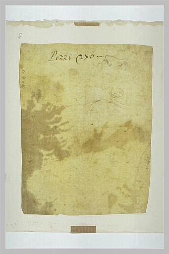 Tête d'homme chauve, de profil vers la gauche