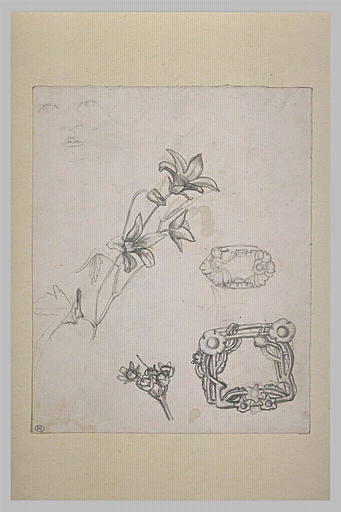 Etudes de fleurs, de deux boucles de ceintures et croquis d'une tête