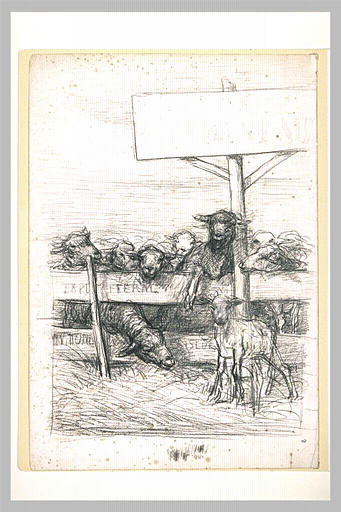 Moutons derrière une barrière flanquée d'un poteau