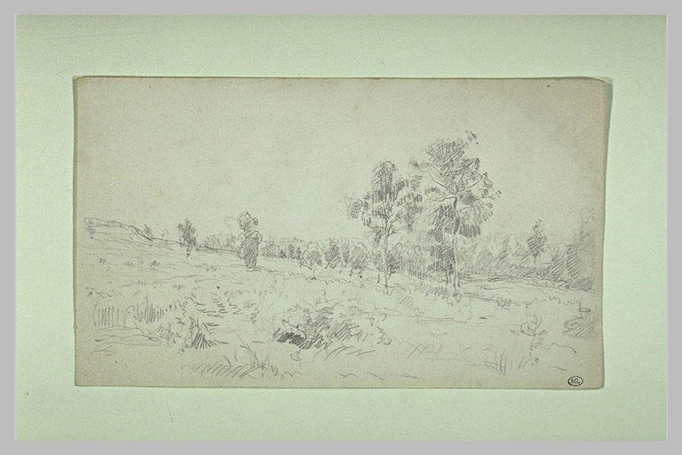 Paysage en pente douce
