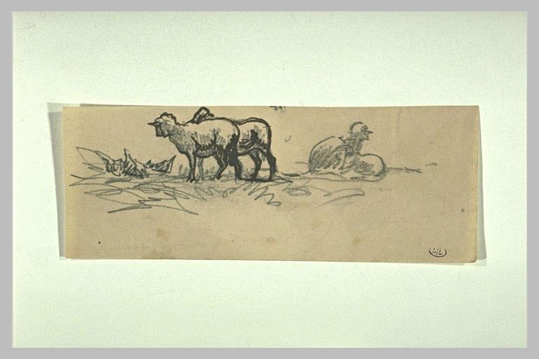 Moutons