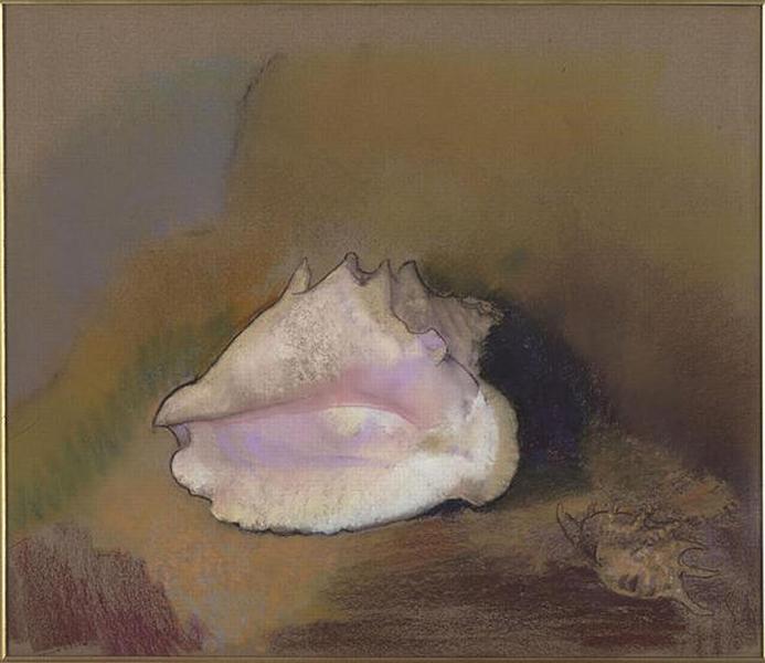 La coquille : en bas à droite, petit coquillage, dans l'ombre