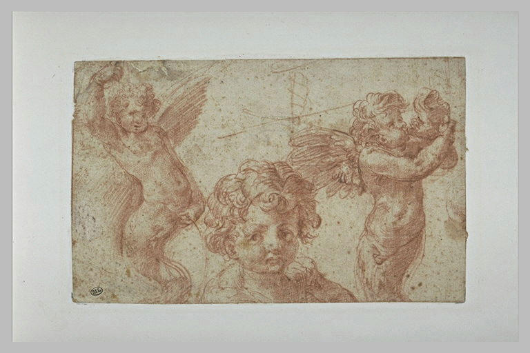 Trois études de putti