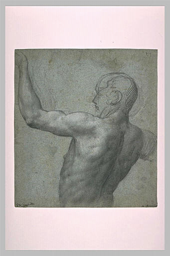 Demi-figure d'homme nu vu de dos, le bras gauche levé