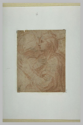 Demi-figure de femme drapée, tournée vers la gauche