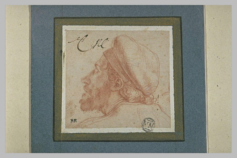 Tête d'homme, de profil vers la gauche