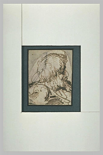 Tête de vieillard, tournée vers la droite