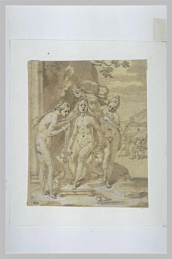 La toilette de Vénus