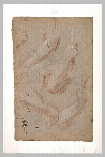 Quatre bras, et une main fermée