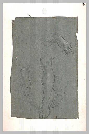 Deux mains et deux jambes