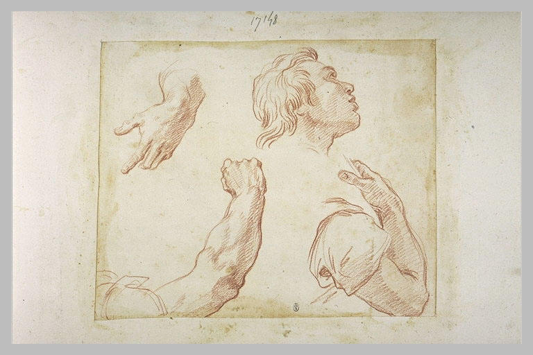 Tête d'homme, de profil, main, et deux bras