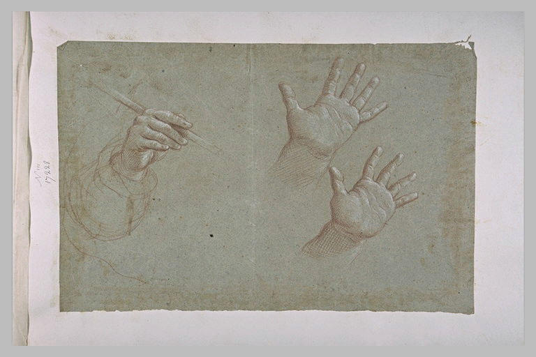 Etudes de deux mains et d'un bras tenant un roseau