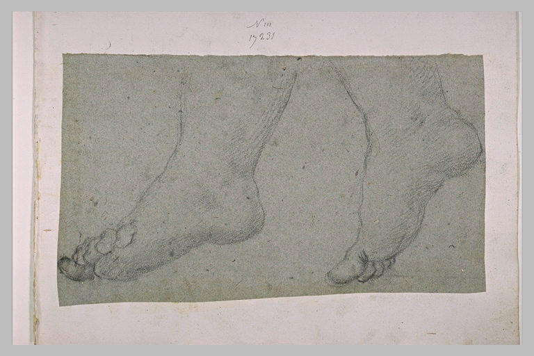 Deux pieds, dans la position de la marche