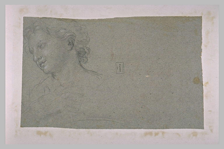 Tête de figure, tournée vers la gauche