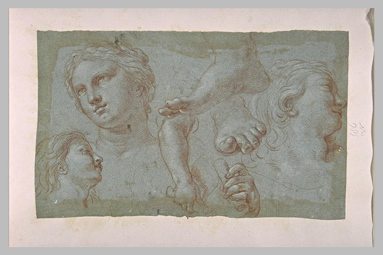 Etude de trois têtes, de deux pieds et de deux mains