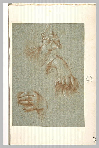 Etude deux mains tenant une étoffe, et d'une main tenant une plume