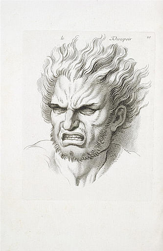 Le Désespoir