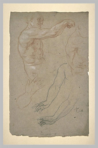 Deux études d'un homme à mi-corps de profil. Etudes de bras