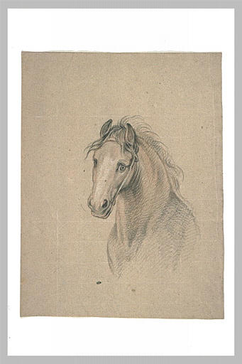 Tête de cheval