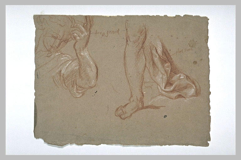 Etudes d'une jambe avec draperie et d'une demi-figure de femme